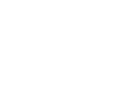 WILLCOOK HO-ON Ⅱ